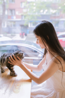 苹果电影